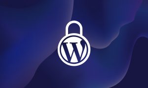 Cara Memilih Tema WordPress