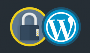 Memahami dan Menggunakan Plugin WordPress dengan Efektif
