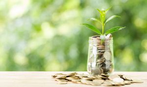 Reksa Dana Syariah vs. Reksa Dana Konvensional Perbandingan Kinerja dan Keuntungan