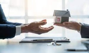 Mendukung UMKM Kredit Pemilikan Gudang sebagai Solusi Keuangan