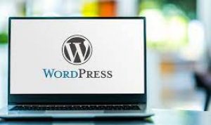Strategi Mengatasi Homepage WordPress yang Berantakan Setelah Mengganti Tema